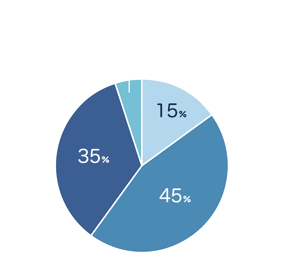 売上比率　コンサルテイング領域 25%　システム開発/運⽤領域 48%　サポート/ヘルプデスク領域 4% ものづくり領域 23%　Sales Ratio / Consulting 25% / System Development and Operations 48% / Support and Help Desk 4% Manufacturing 23%